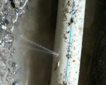 右玉卫生间测漏水多少钱